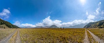 Panorama van de Bromo Vulkaan. van Floyd Angenent