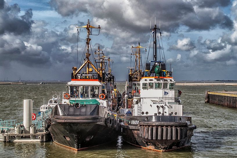 Sleepboten van Mario de Lijser
