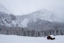 Landschaft Lermoos Österreich von Jeroen Meeuwsen