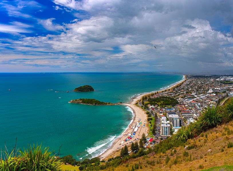 Aerial view of Tauranga town by Yevgen Belich