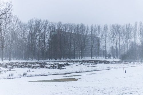 a flat hidden behind the trees