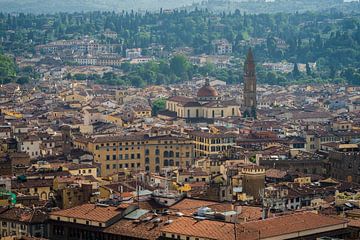 Roofs of Florence by Shanti Hesse