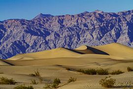 Mesquite Flat Dunes in Death Valley