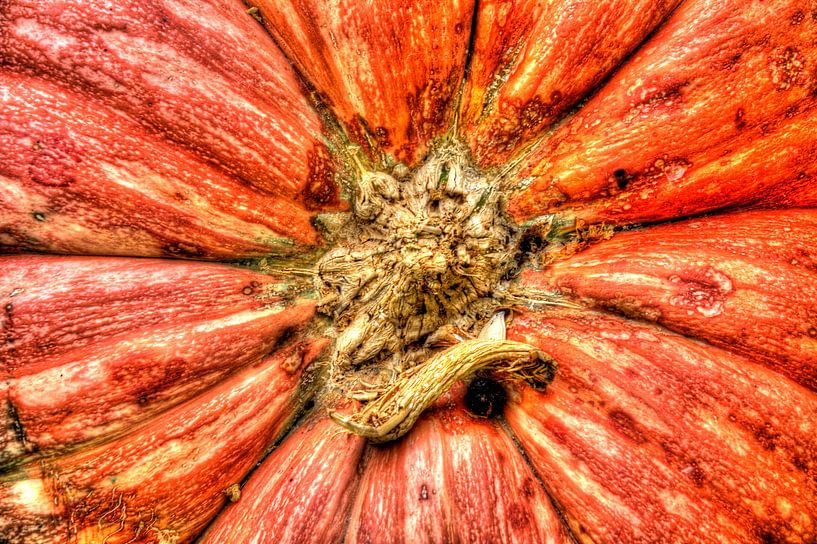 Pompoen structuur van Edgar Schermaul