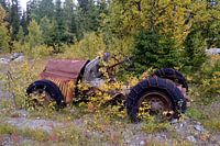 rotte auto