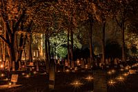 Light evening at the Jacobus church in Rolde