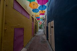 Une petite balade à Curaçao