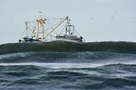  Fischerboot in der Nähe von Texel von Ronald Timmer Miniaturansicht