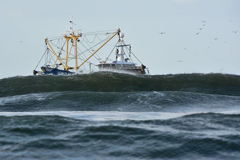 Fishing vessel on the Noordsea by Ronald Timmer
