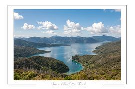 Queen Charlotte Trail. von Richard Wareham