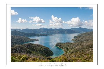 Queen Charlotte Trail. by Richard Wareham