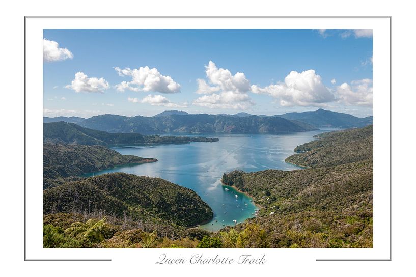 Queen Charlotte Trail. by Richard Wareham