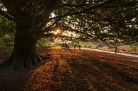 Enjoying nature by Moetwil en van Dijk - Fotografie thumbnail