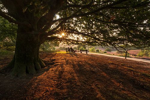 Genieten van de natuur