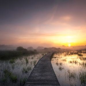 Mistige Zonsopkomst van Rob Sprenger