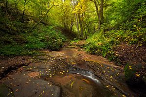 Butzerbachtal tijdens de herfst in de Eifel, Duitsland.