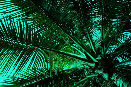 GREENERY PALM LEAVES v1