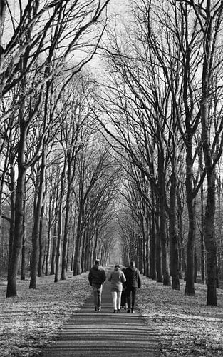 Zondagse wandeling