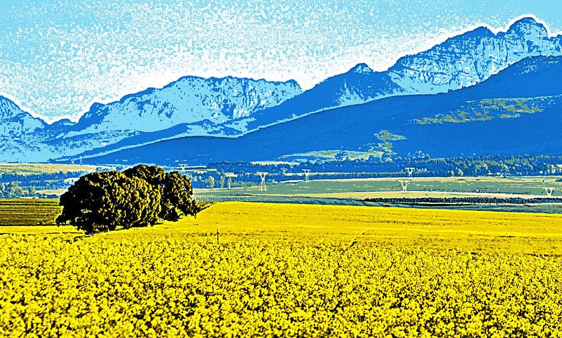 champs de colza jaune et montagnes mixed media par Werner Lehmann