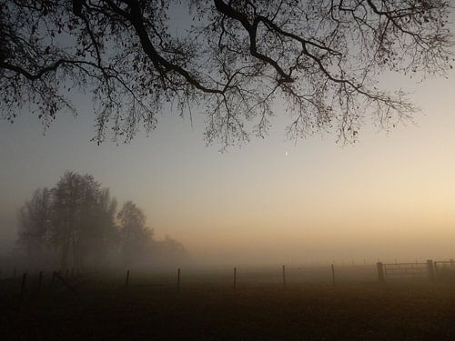 Mistig landschap 