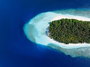 Tropische Insel