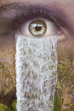 Surrealistische Fotomanipulatie van Menselijk Oog in Natuurlijke Omgeving -  voor Uw Interieur van Elianne van Turennout