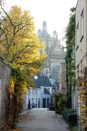 Den Bosch Kijk op Sint Jan