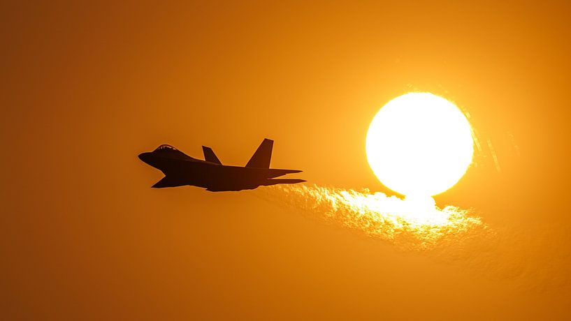 Lockheed Martin F-22 Raptor de l'armée de l'air américaine. par Jaap van den Berg