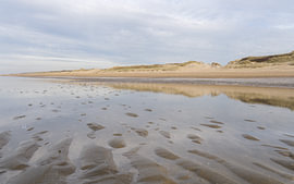 Dünen bei Scheveningen von Floris Kleyn