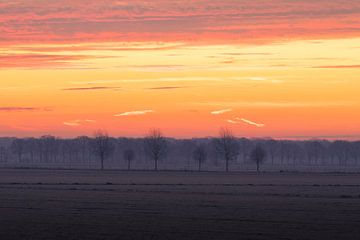Winterse Zonsopkomst over de Polder van Drunen van Zwoele Plaatjes