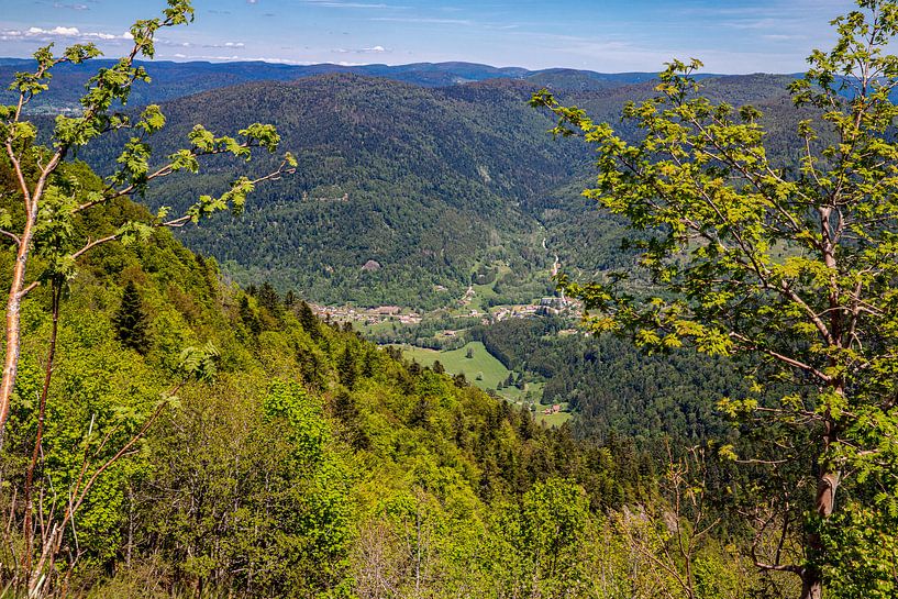 Vue sur les Charbonniers depuis l'Alsace Belchen par Alexander Wolff