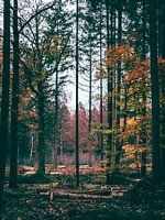 herfstblad