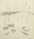 Runde rote und blaue Muschel mit kleineren Muscheln, Totoya Hokkei, 1821 von Dina Dankers Miniaturansicht