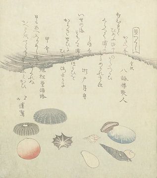 Ronde rode en blauwe schelp met kleinere schelpen, Totoya Hokkei, 1821 van Dina Dankers