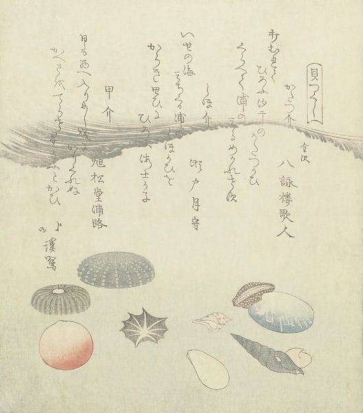 Runde rote und blaue Muschel mit kleineren Muscheln, Totoya Hokkei, 1821 von Dina Dankers