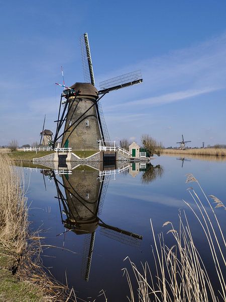 Molen von Roderick van de Berg