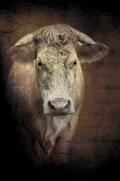 Bertha 1. Portret van een koe. van Alie Ekkelenkamp