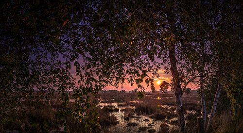 Coucher de soleil sur le champ de Wierden