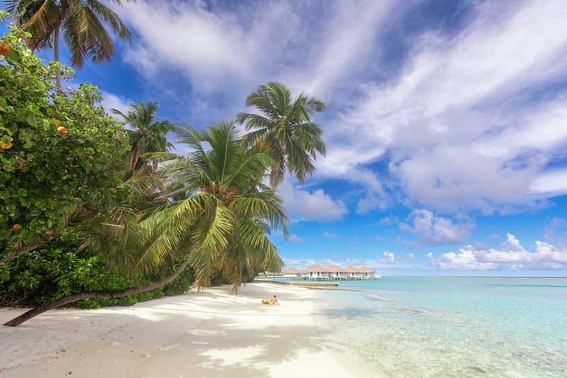 Dream beach with palm trees by Tilo Grellmann
