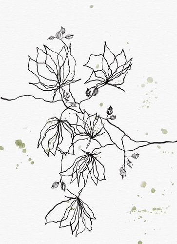 Wonderland linedrawing