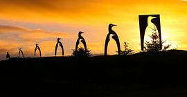 Pinguïns kerstboom van Ronald Molegraaf