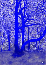 Boom by Ronald Veelenturf