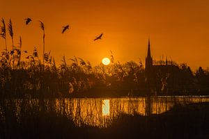 Mooie zonsopkomst in natuurgebied het Markdal in Breda -  Nederland van Chihong
