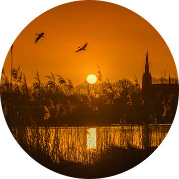 Mooie zonsopkomst in natuurgebied het Markdal in Breda -  Nederland van Chi