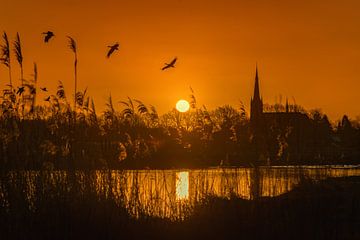 Mooie zonsopkomst in natuurgebied het Markdal in Breda -  Nederland van Chi