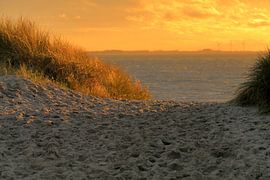 Studie: De Kaloot, Borssele - Zeeland by Patrice Domenique Troost