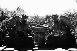 The Lions by DEsastrous4life