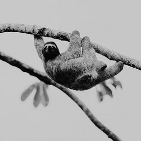 Faulheit von Esther van Beek