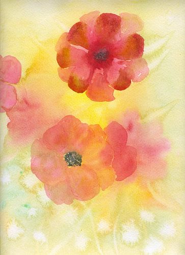 Poppy watercolour by Nelleke Bruno