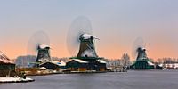 Die Zaanse Schans im Winter von Henk Meijer Photography Miniaturansicht